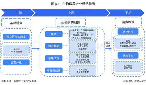 2021年中國生物醫藥產業鏈全景與區域競合 聚焦北京與長三角的協同創新